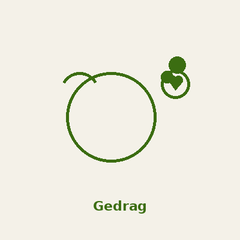 Producten voor het gedrag van honden en katten