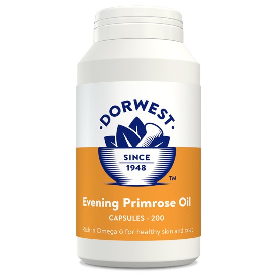 Dorwest Teunisbloemolie Dorwest Teunisbloemolie