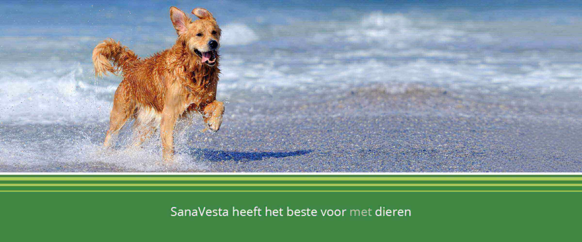Sana-Vesta heeft het beste voor met dieren