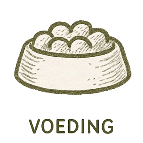 Categorie: Voeding